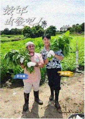 新番人气角色图鉴 资讯